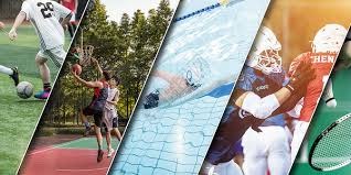 复出就见效！赵继伟砍下24+7，3名队友被激活，莫兰德不再消极